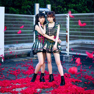 The Idol Formerly Known As LADYBABY – Pinky! Pinky!