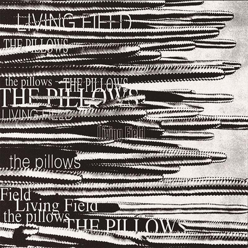 the pillows – LIVING FIELD