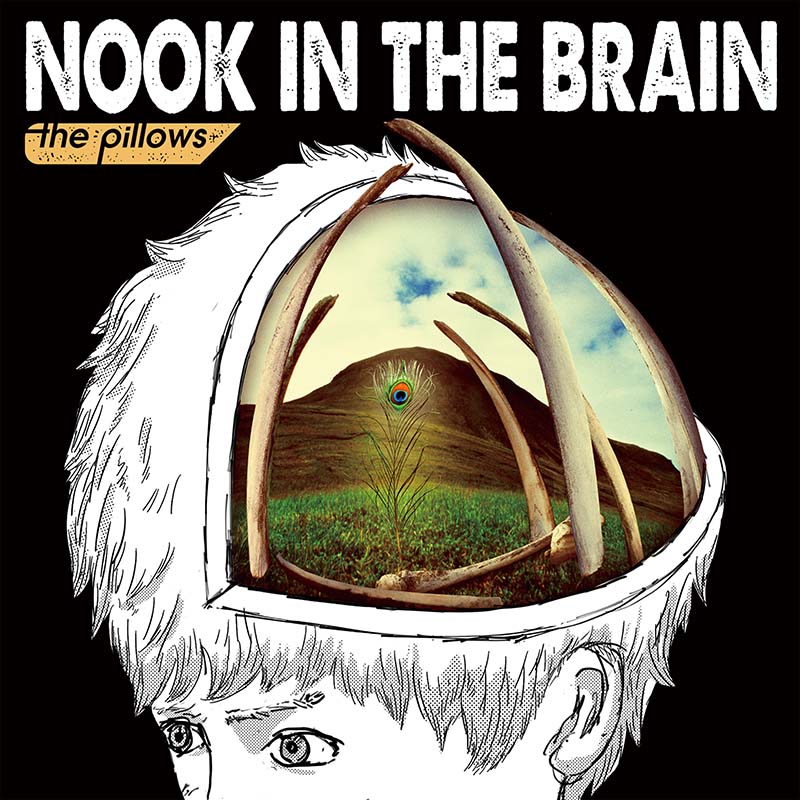 the pillows NOOK IN THE BRAIN album cover art